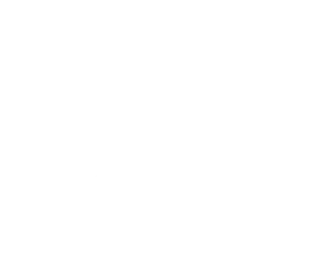 Logo Datia